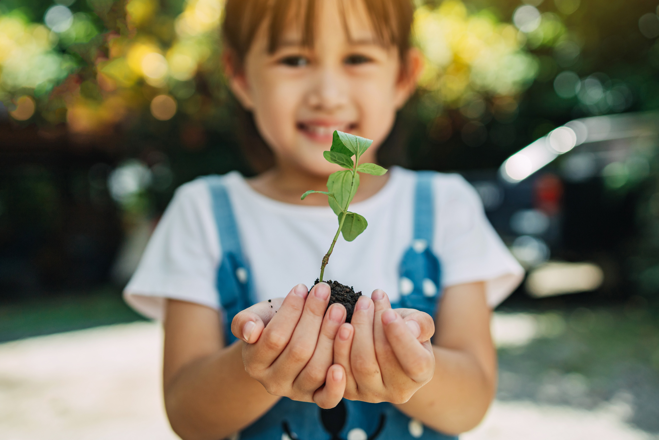 Kid Holding a Seedling
